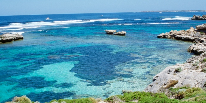 Rottnest adası/foto:AFP