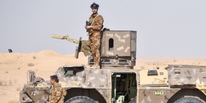 Haşdi Şabi /foto:AFP