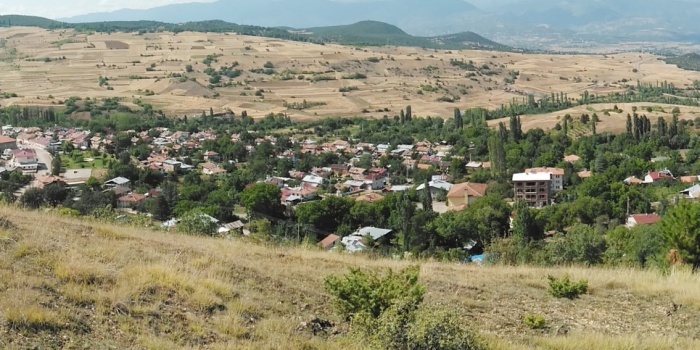 Köy