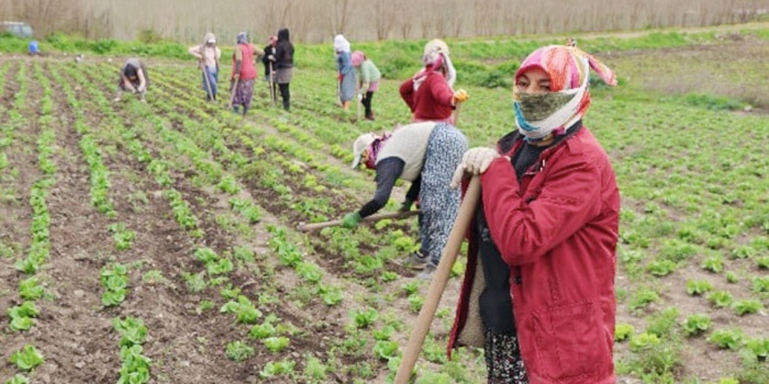 Mevsimlik işçiler