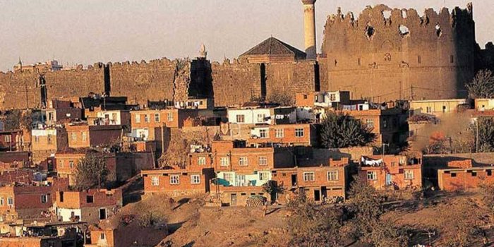 AMED