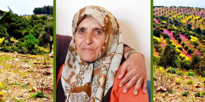 Efrinli Elif anne