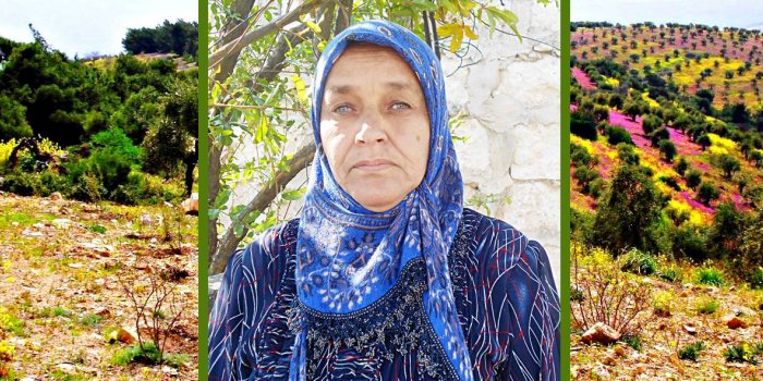 Emine Hesen -fida