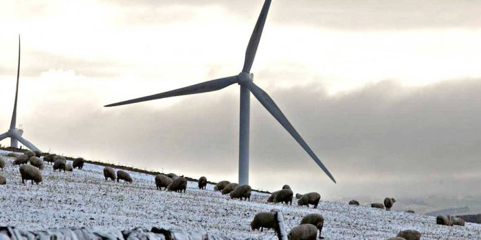 ATMOSFER VE KOYUNLAR